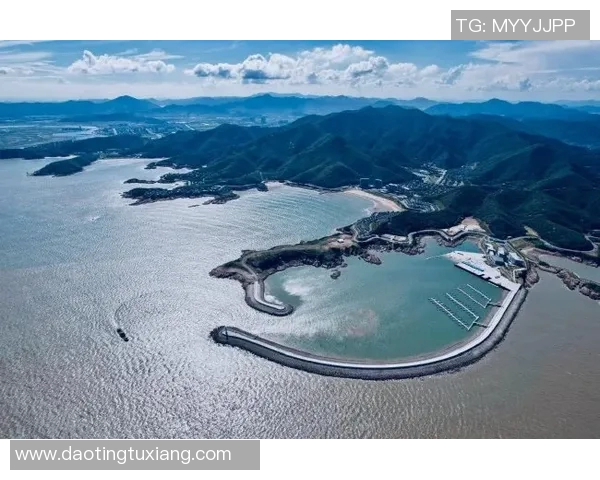 足球新浪聚焦全球赛事动态深度解析球员表现与战术变化